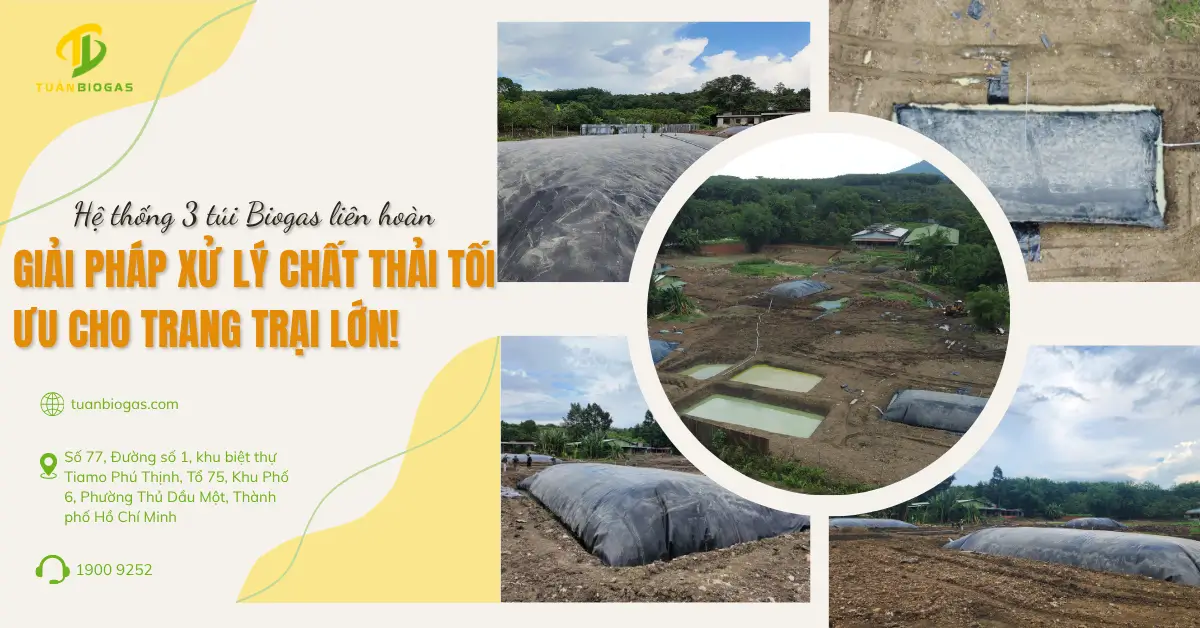 Giải Pháp Lắp Đặt 3 Túi Biogas Liên Hoàn Cho Trang Trại Heo Tại Bình Phước | Tuấn Biogas